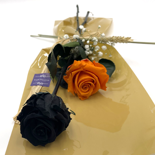 Dos Rosas Preservadas, Una Negra Y Una Naranja