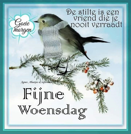 woensdag-de-stilte-is-een-vriend-die-je-nooit-verraadt