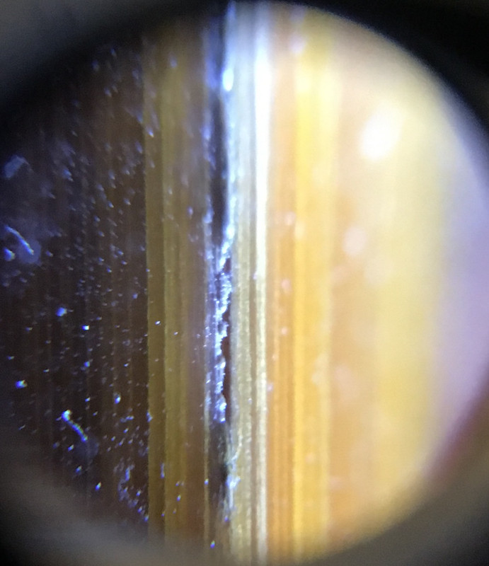 7236CB03-6A18-4C8D-8C4A-A9D78E21B2C4