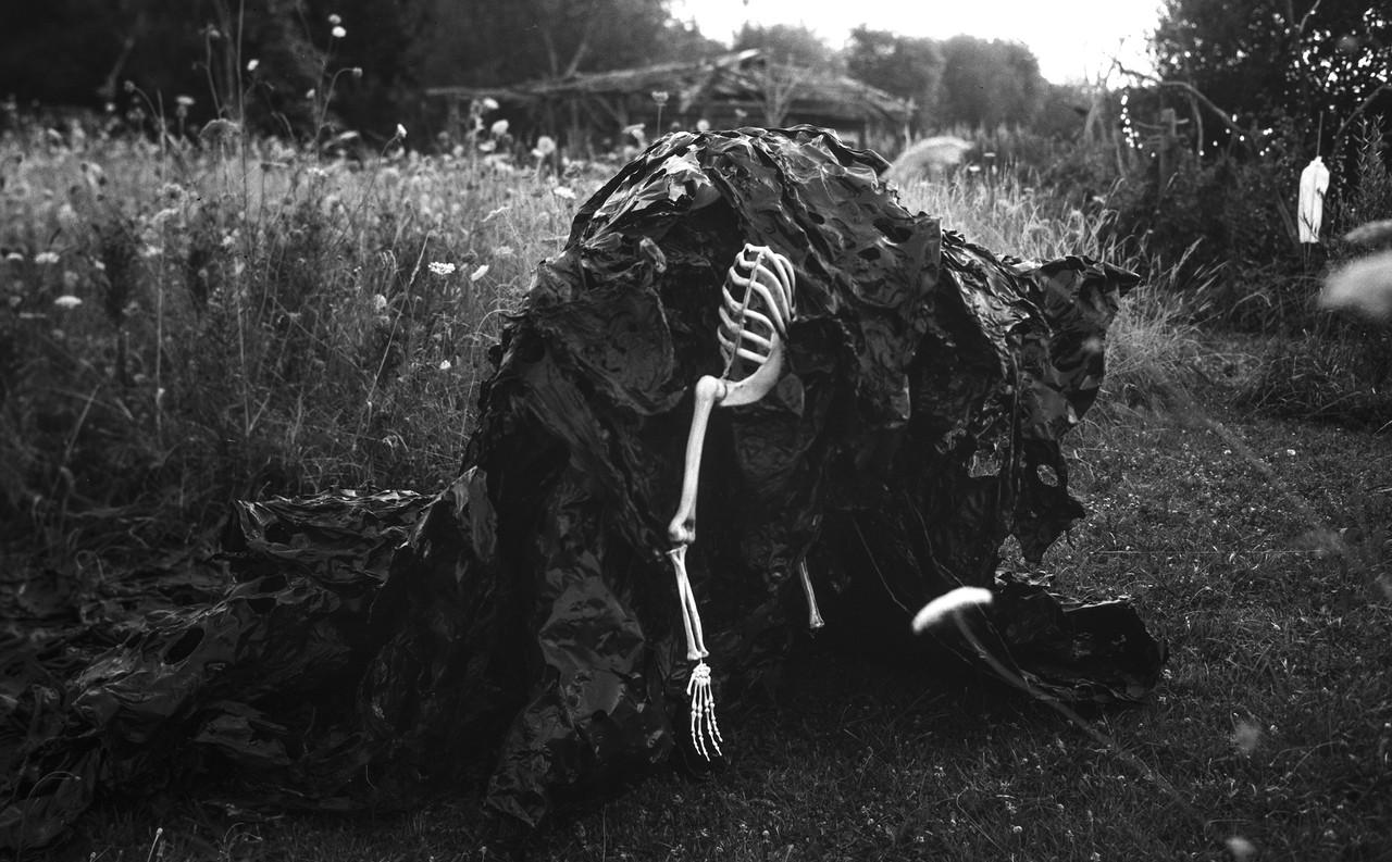 img20240801_02162079B (mieuxB)