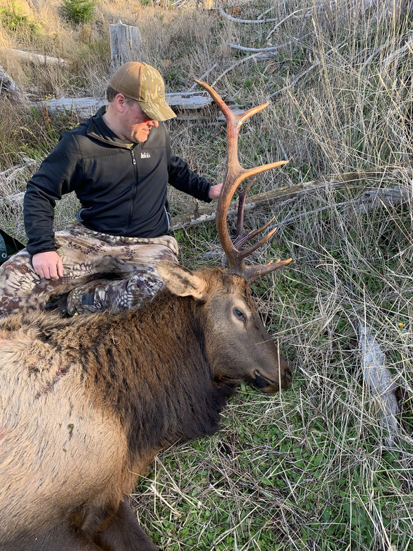 2018 Wilson Unit Roosevelt Elk Hunt 24hourcampfire