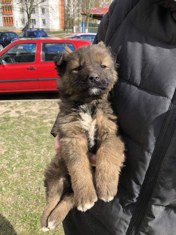 571529D0-891A-4B84-8321-6824EB46DABD