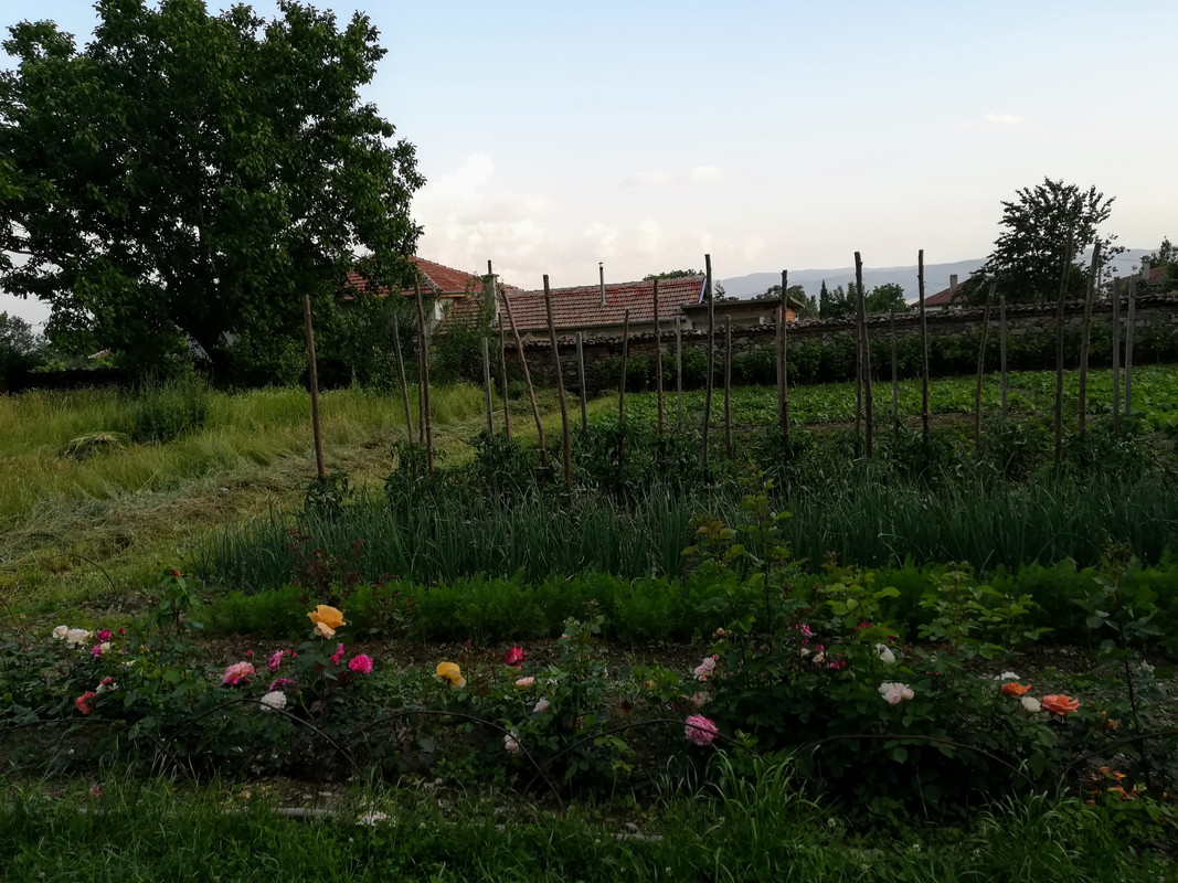 IMG_20190608_195038