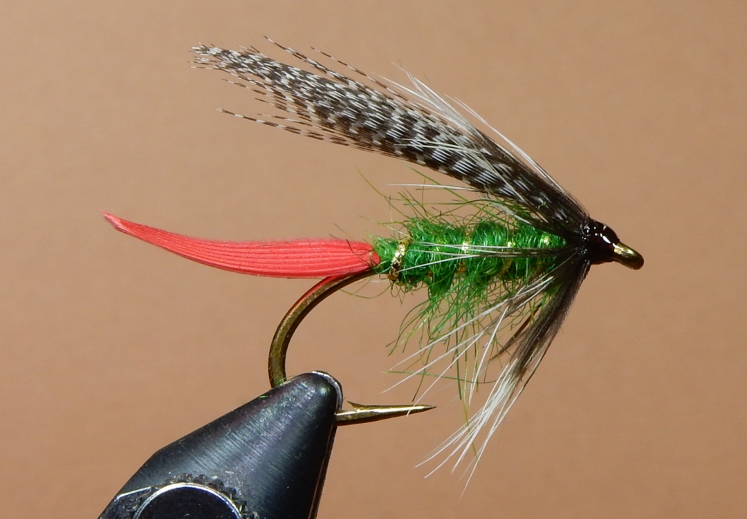 Nation-s-Green-Sedge-1080.jpg