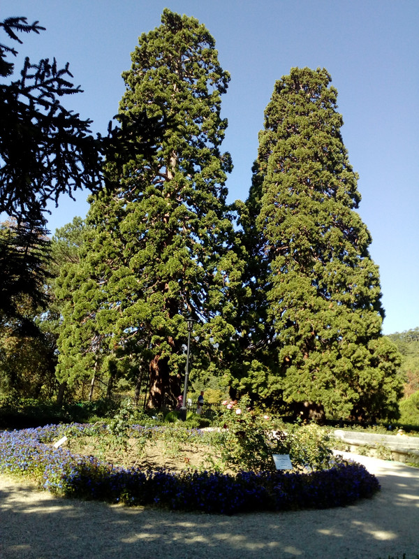 IMG_20170916_101531_1CS