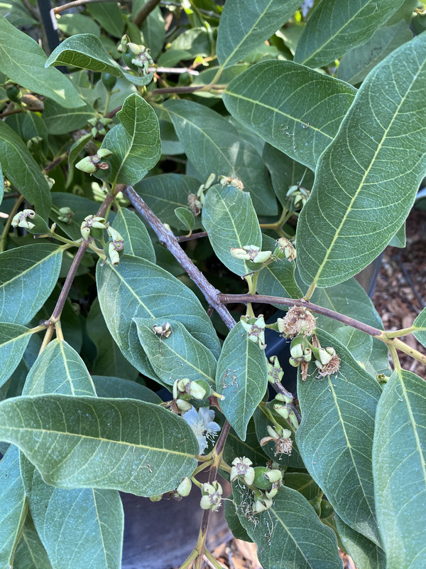 E1C8C422-8964-4E18-B026-09F487BA2397