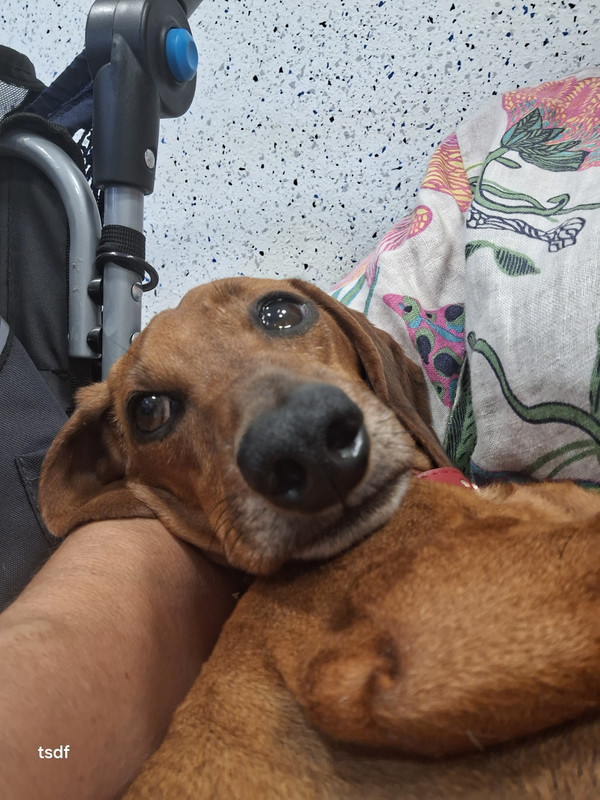 [Image: 20250826-185233.jpg]