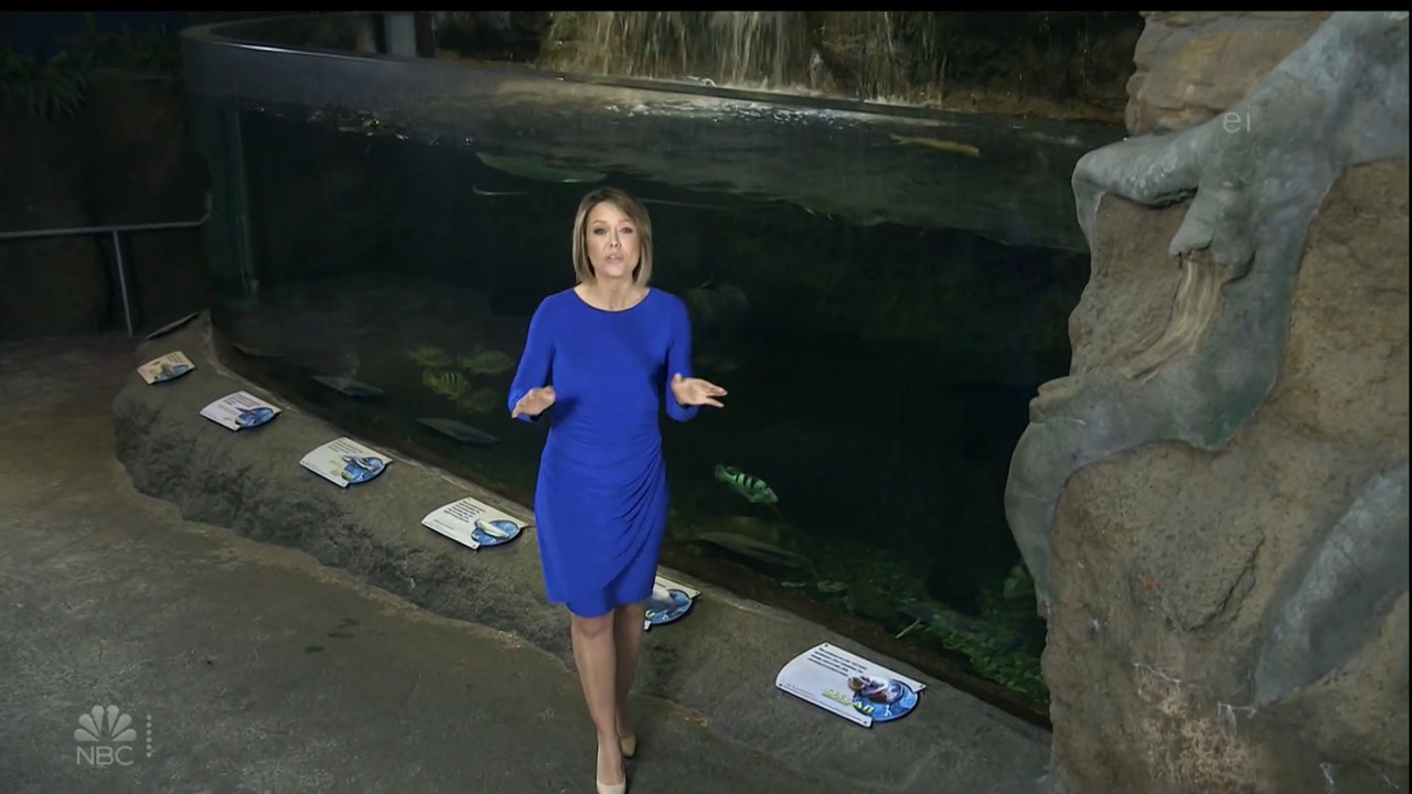 11.07 - 15.00.00 - Earth Odyssey With Dylan Dreyer. The world's smart....ts_snapshot_00.14.43.908