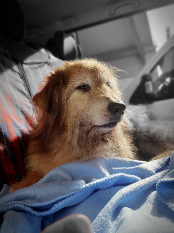 [Image: 20220512-182046.jpg]