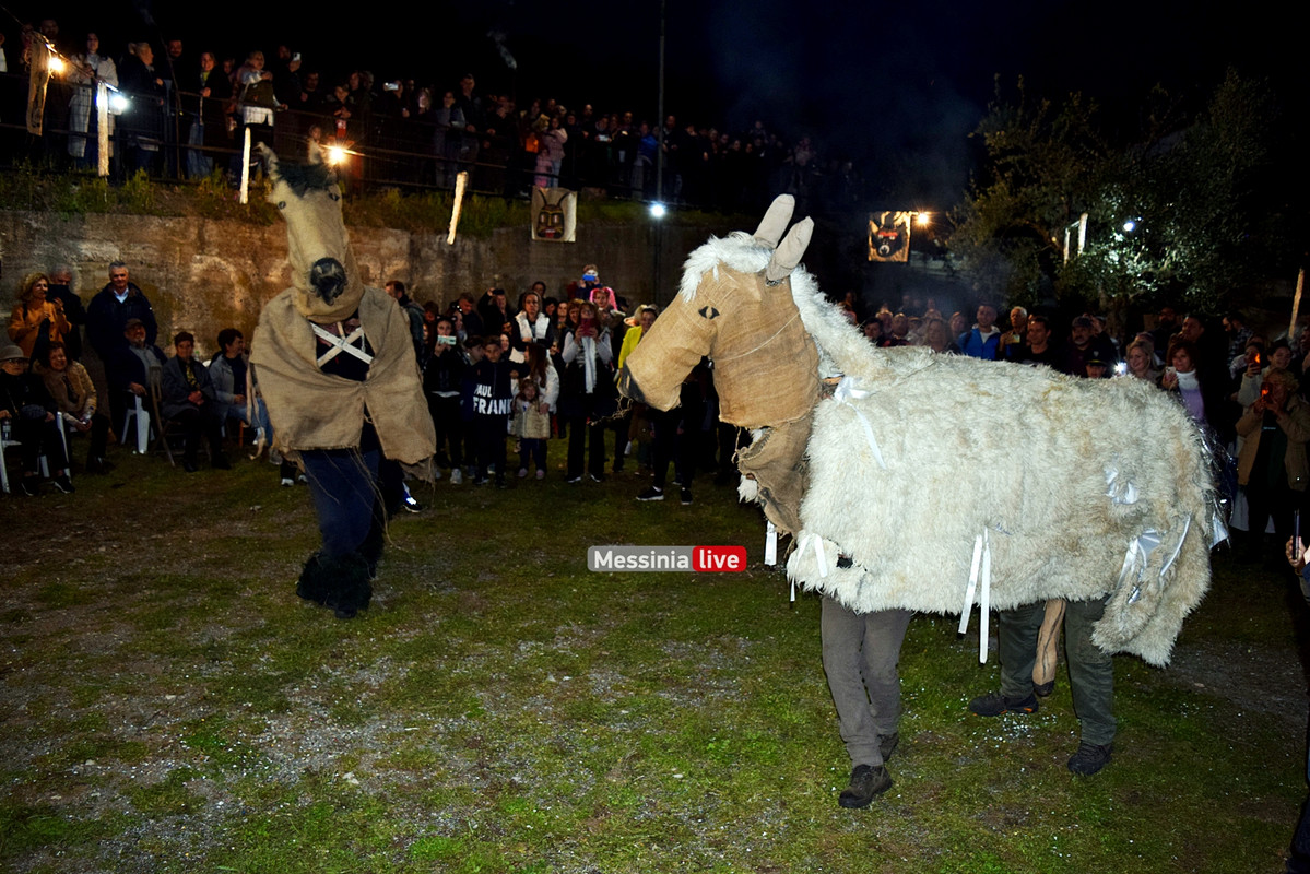 ελαιοχωριDSC_0655