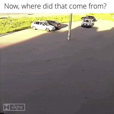 daily-gifdump-3441-21.gif