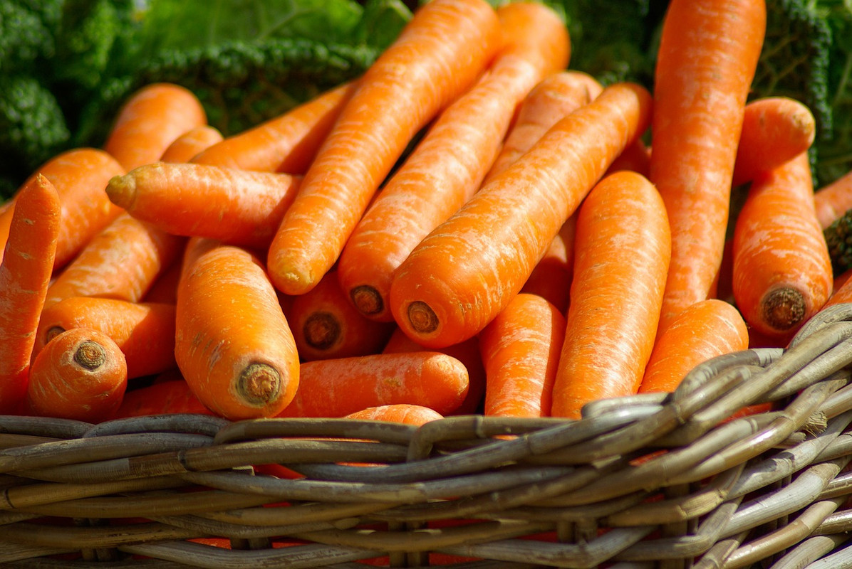 carrots-673184-1280