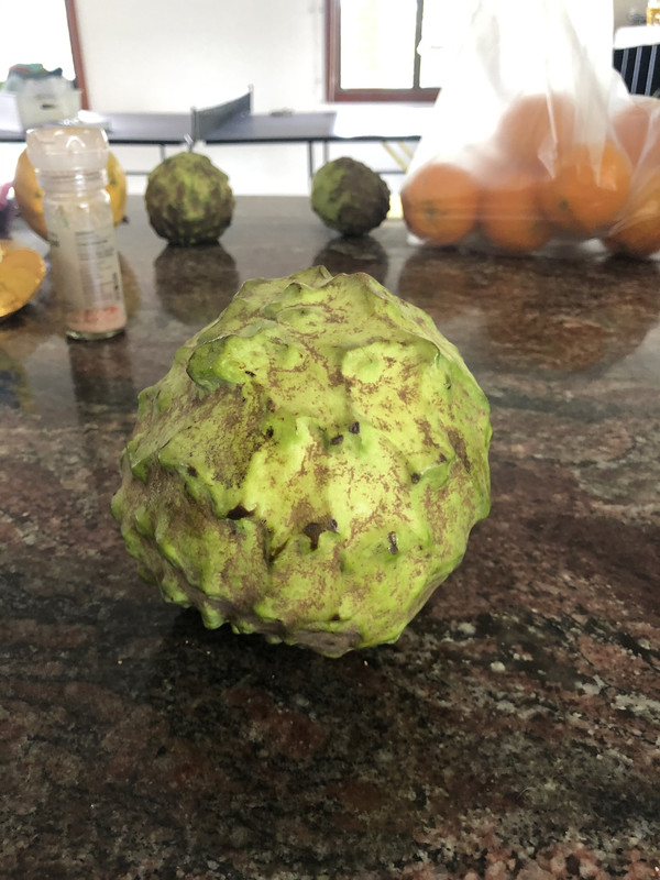 33D006D8-0863-4AC3-86D0-E4FCC2E58955