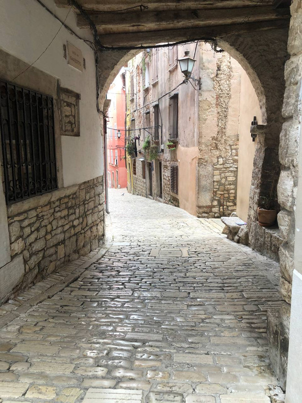 photo_2025-01-31_18-00-11