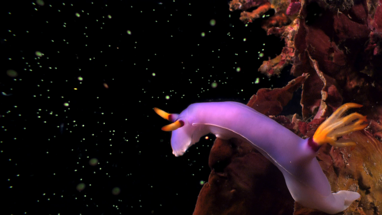 vlcsnap-2023-02-12-16h53m09s539