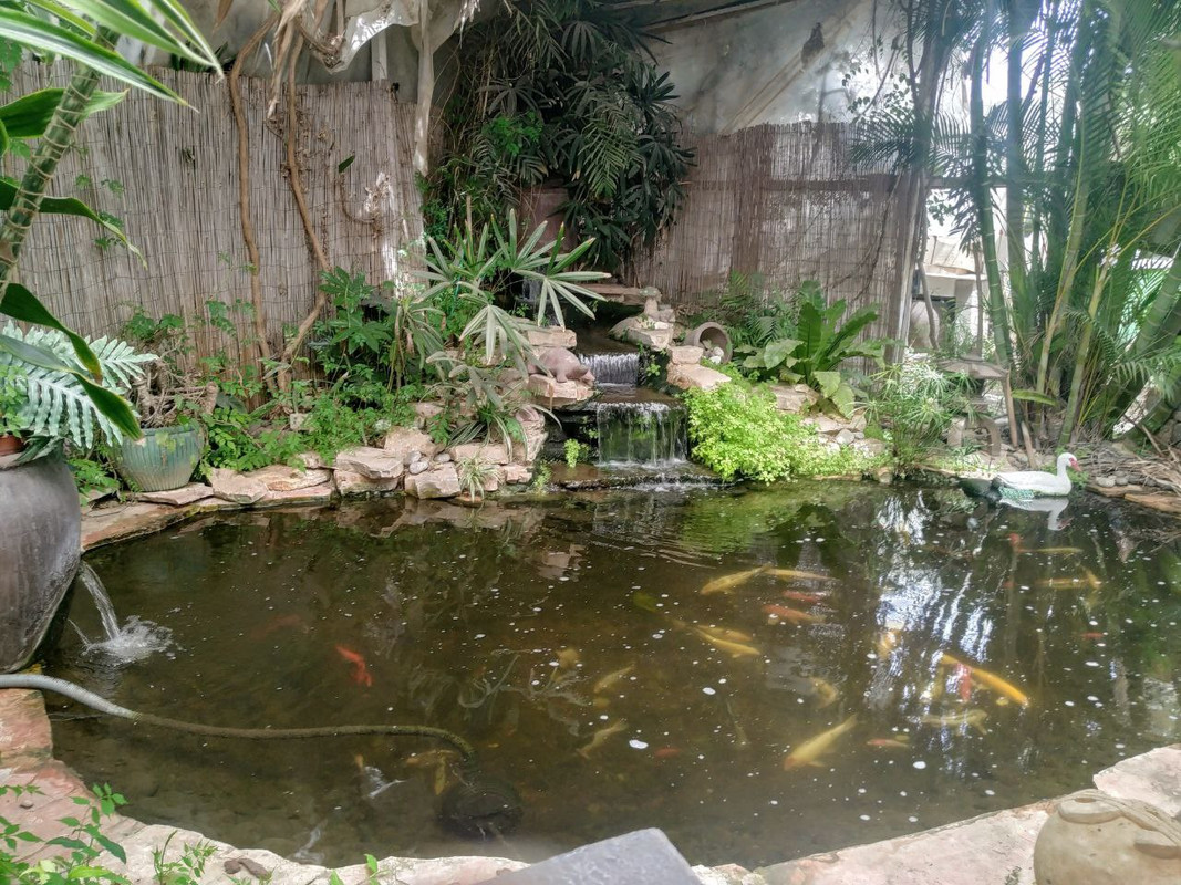 photo5812261293741159807