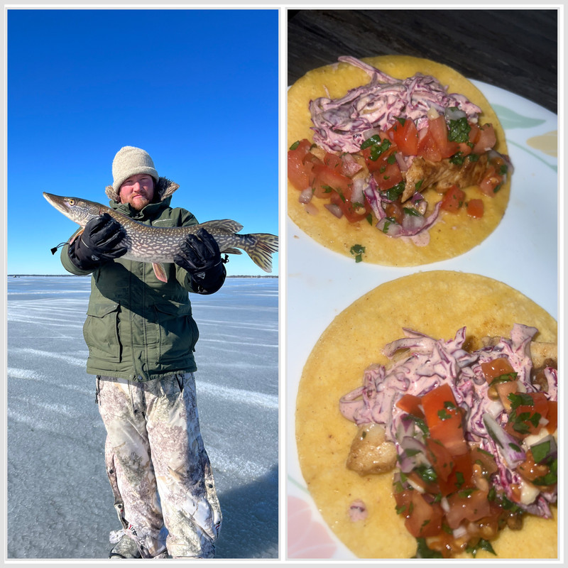 F61672EE-97CC-439B-95D4-5AB030F27615