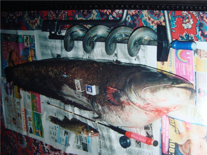 15 апреля 2004г.