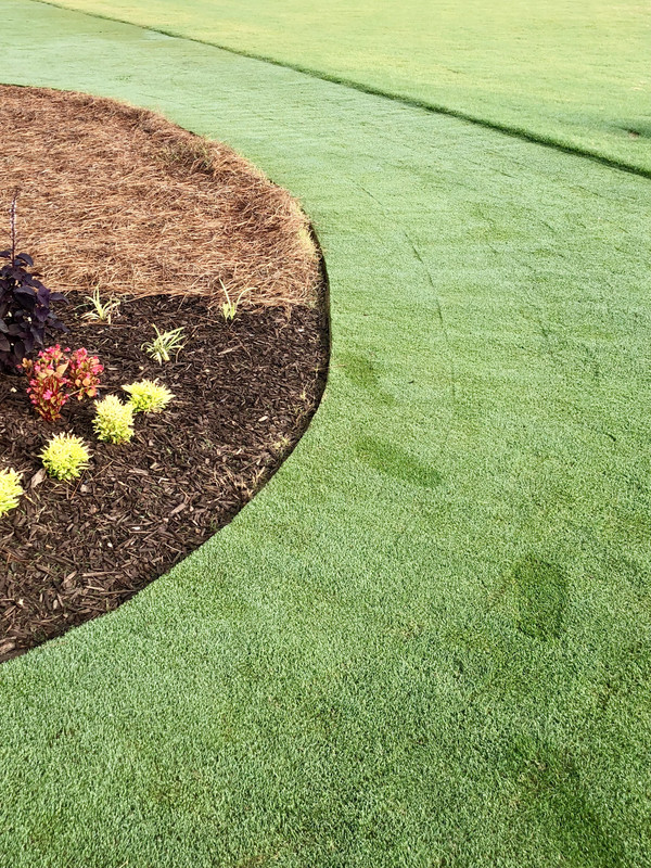 CF701971-10AA-4DE8-86DF-4122AEDE6C3C