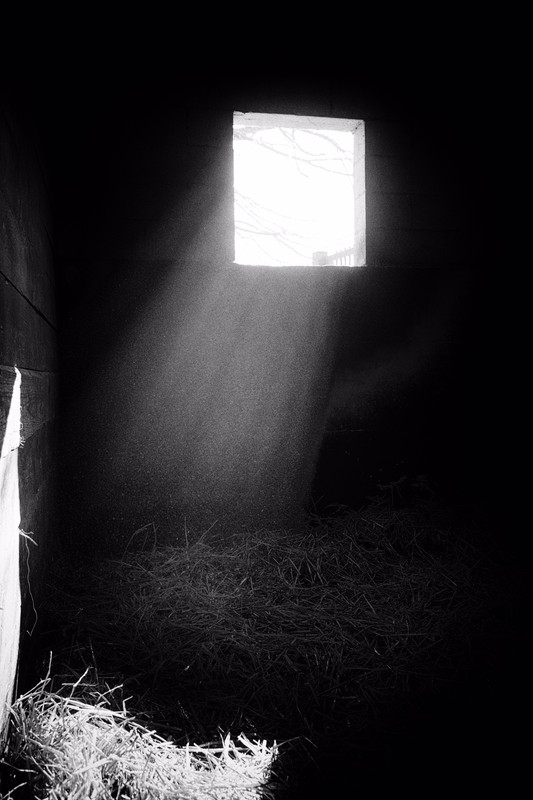 CDE246D6-19C0-4E47-B1C8-6561E927662A