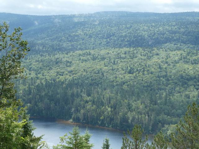 Parque Nacional de La Mauricie - DOS SEMANAS EN EL ESTE DE CANADÁ (ONTARIO Y QUÉBEC) (5)