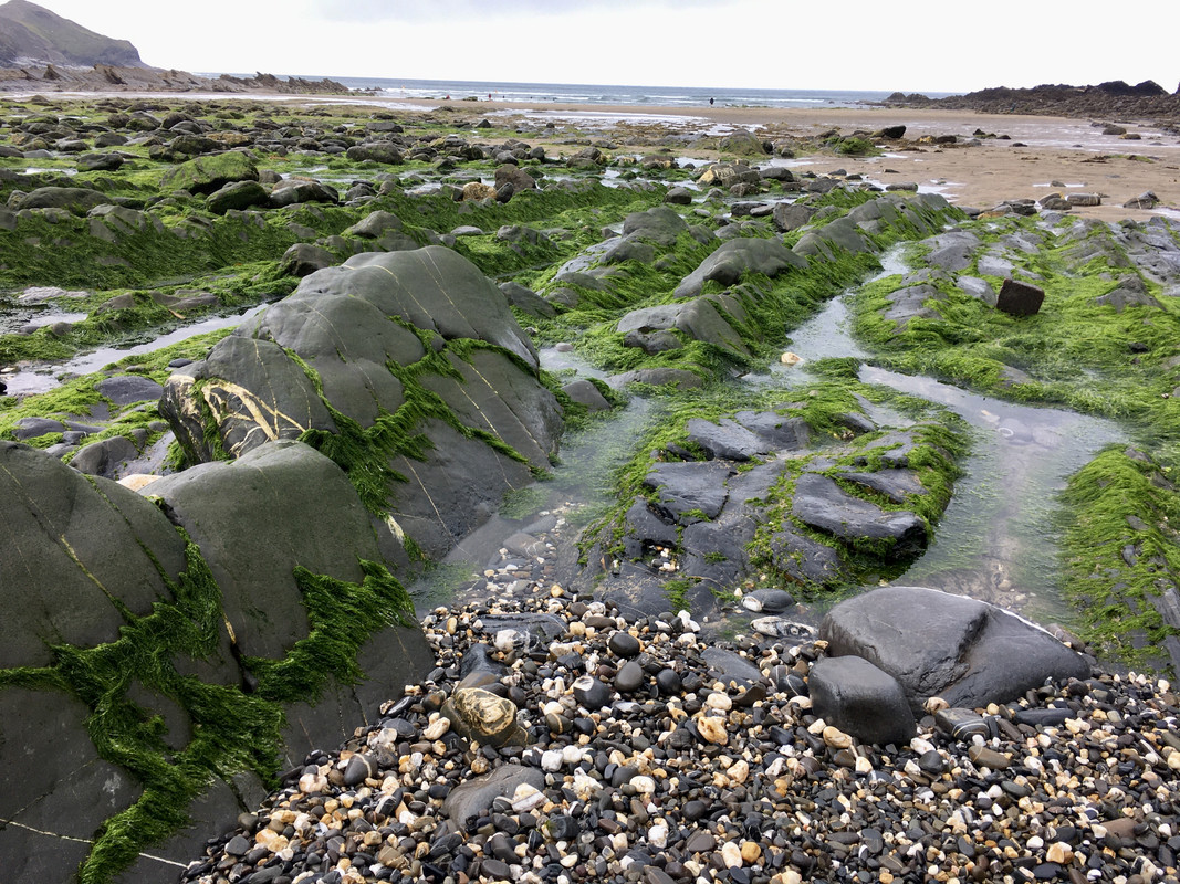 F868BB59-3785-4A37-9A13-C95A3A2114CD