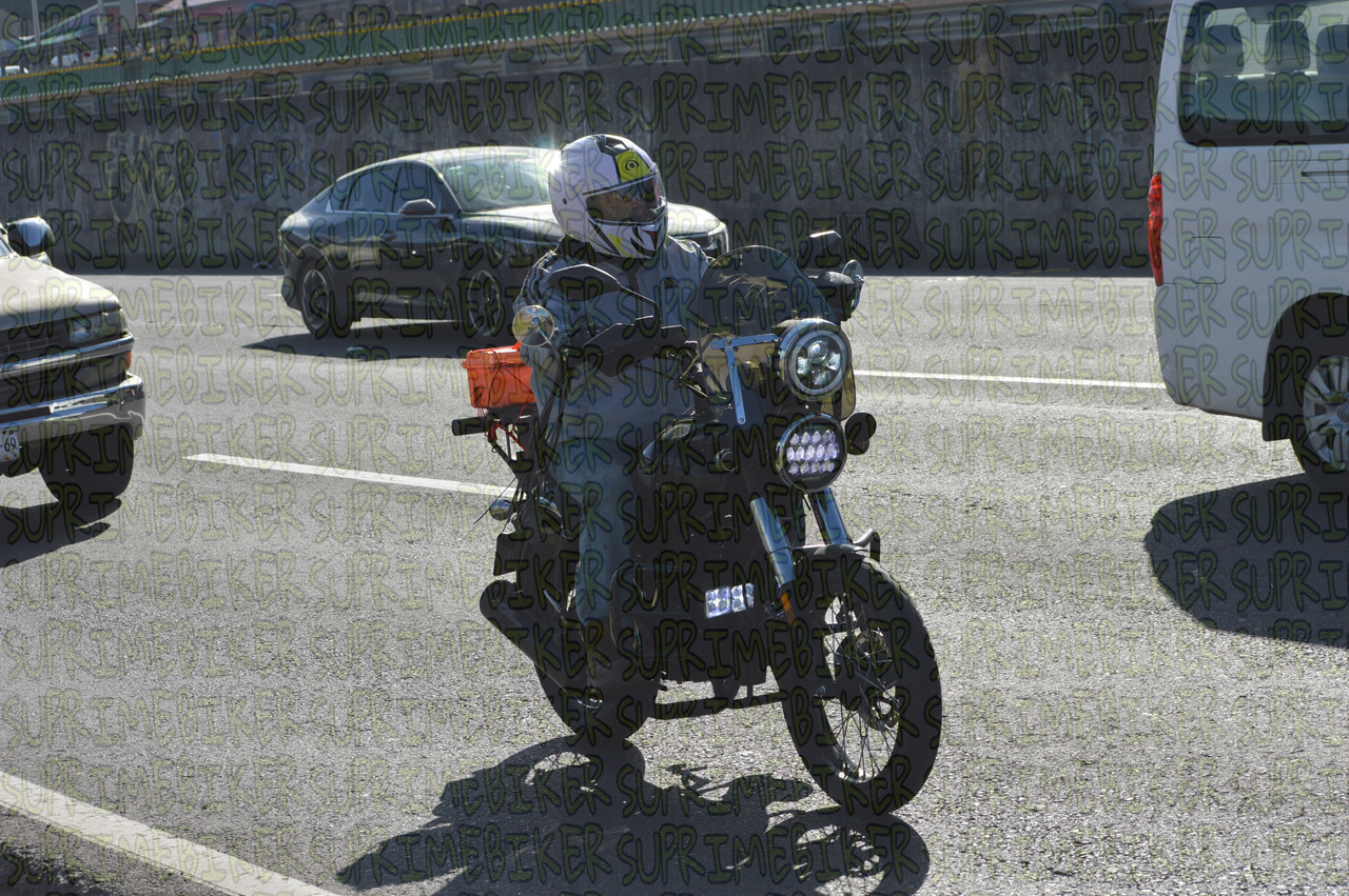 DSC 0234