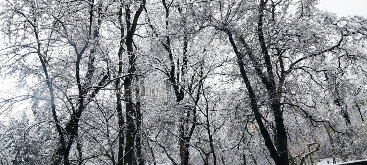 Katedrala-iza-granja