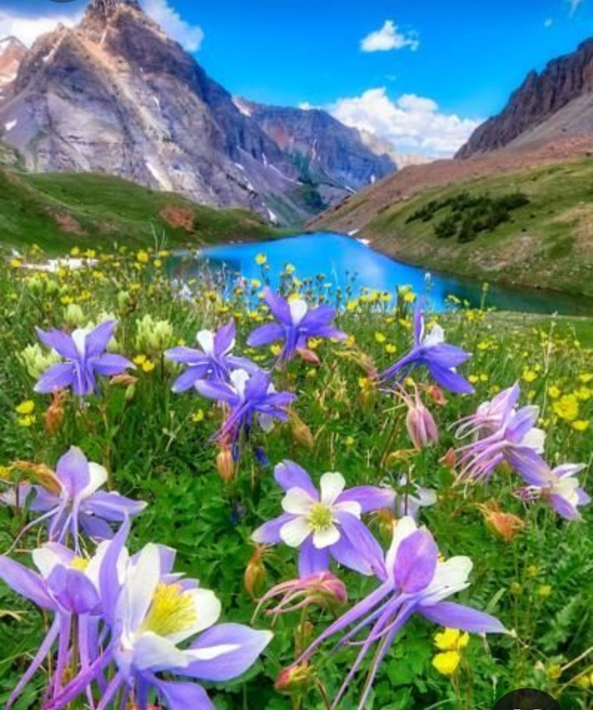 Screenshot_20230401_014218_Pinterest