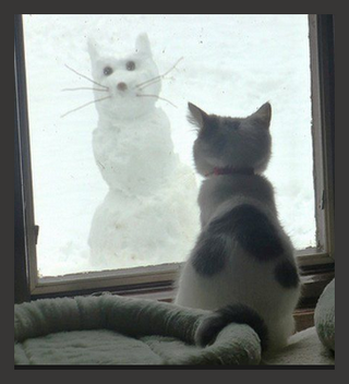 cat-Window-Snoman-Cat