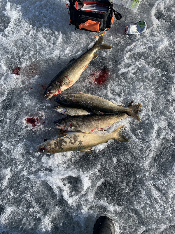 45A12DFD-9108-4245-9BB6-098DEBB585F8