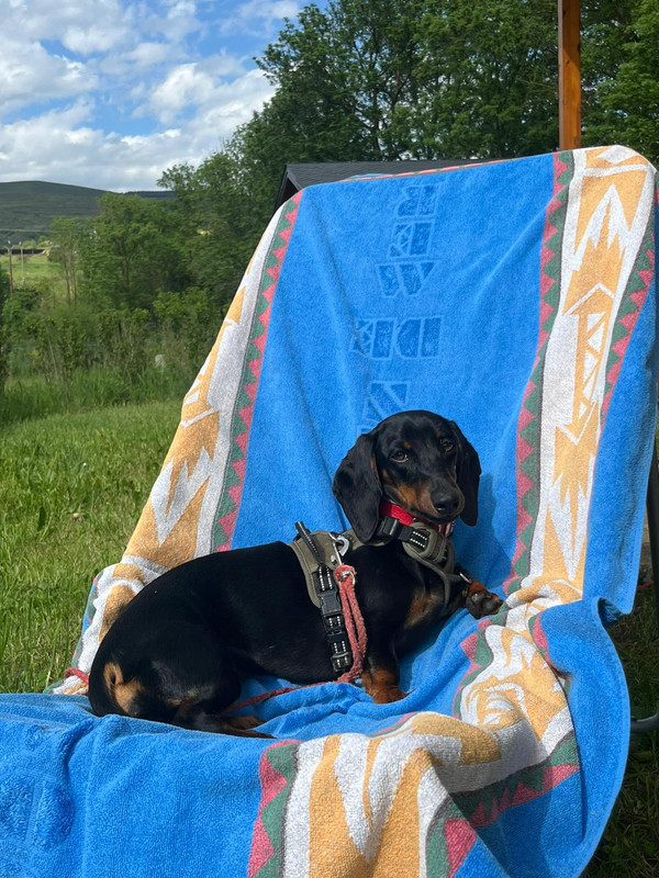 [Image: IMG-20250612-WA0051.jpg]