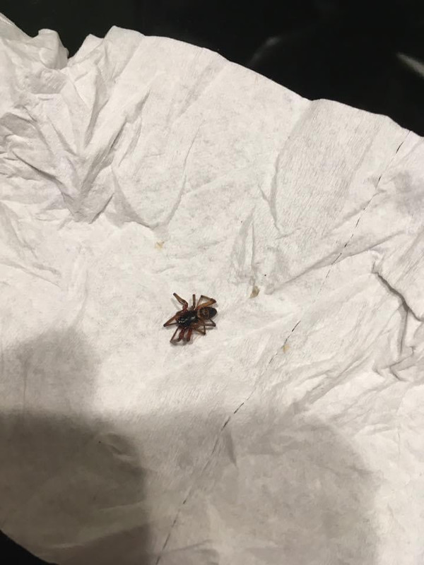 FB836364-2EBC-4699-9E61-D04A582E3D52