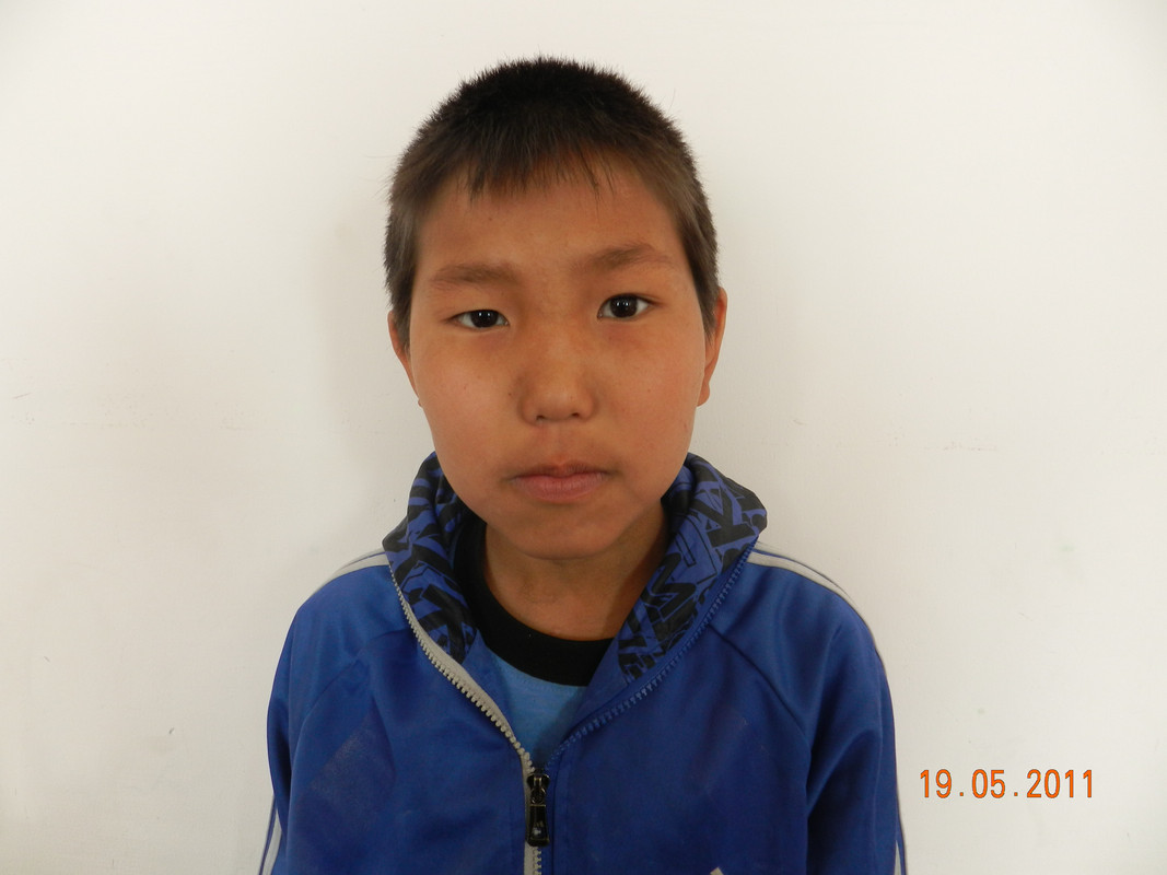 2011 год. Полярная звезда