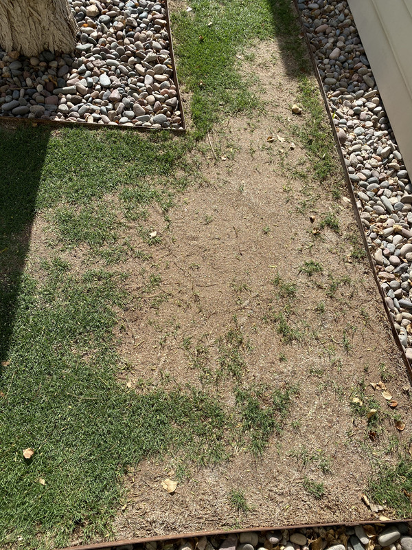 F9EDABB6-7E13-4039-B1DD-0D758C814648