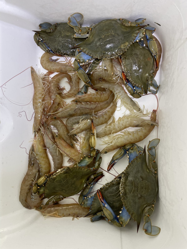 92F7D09F-A2A4-40F6-B722-2F66EABE784A