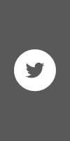 Twitter icon link