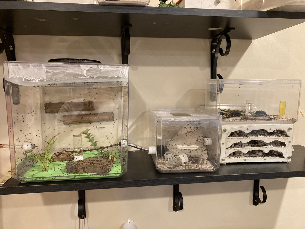 8046AC36-94D4-4BC0-9BA7-DFA2D4432894