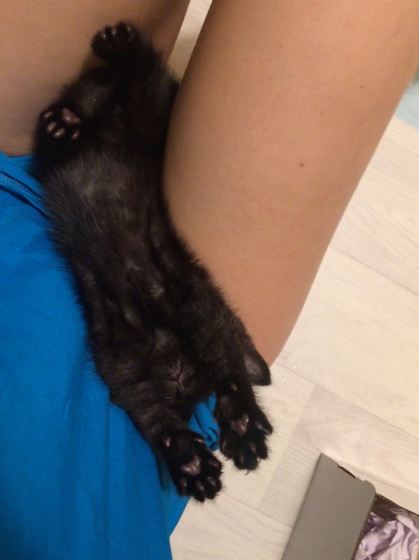 F16953BC-61DD-49B0-82C6-398B8DDACA62