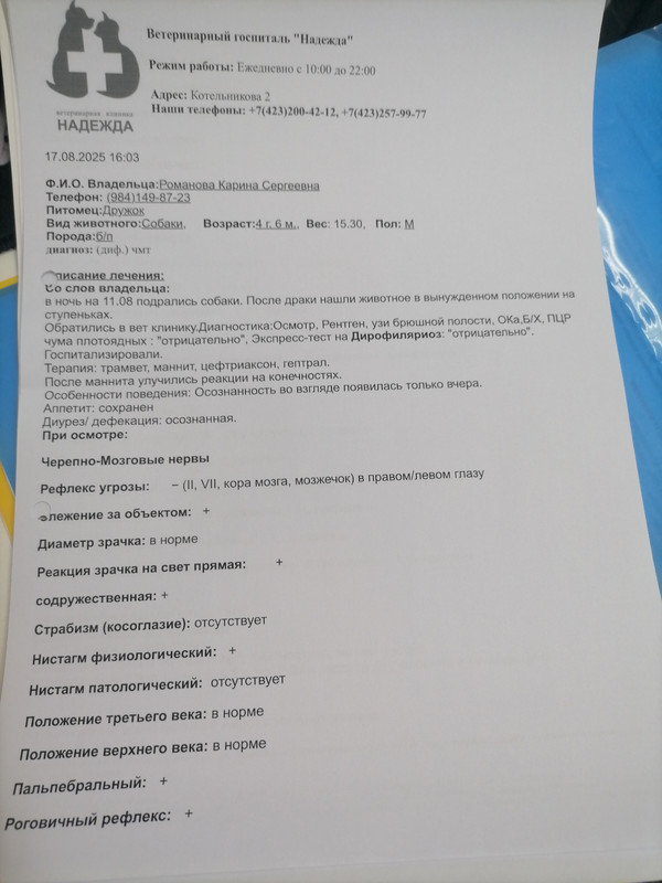 IMG_20250817_164708 (1)