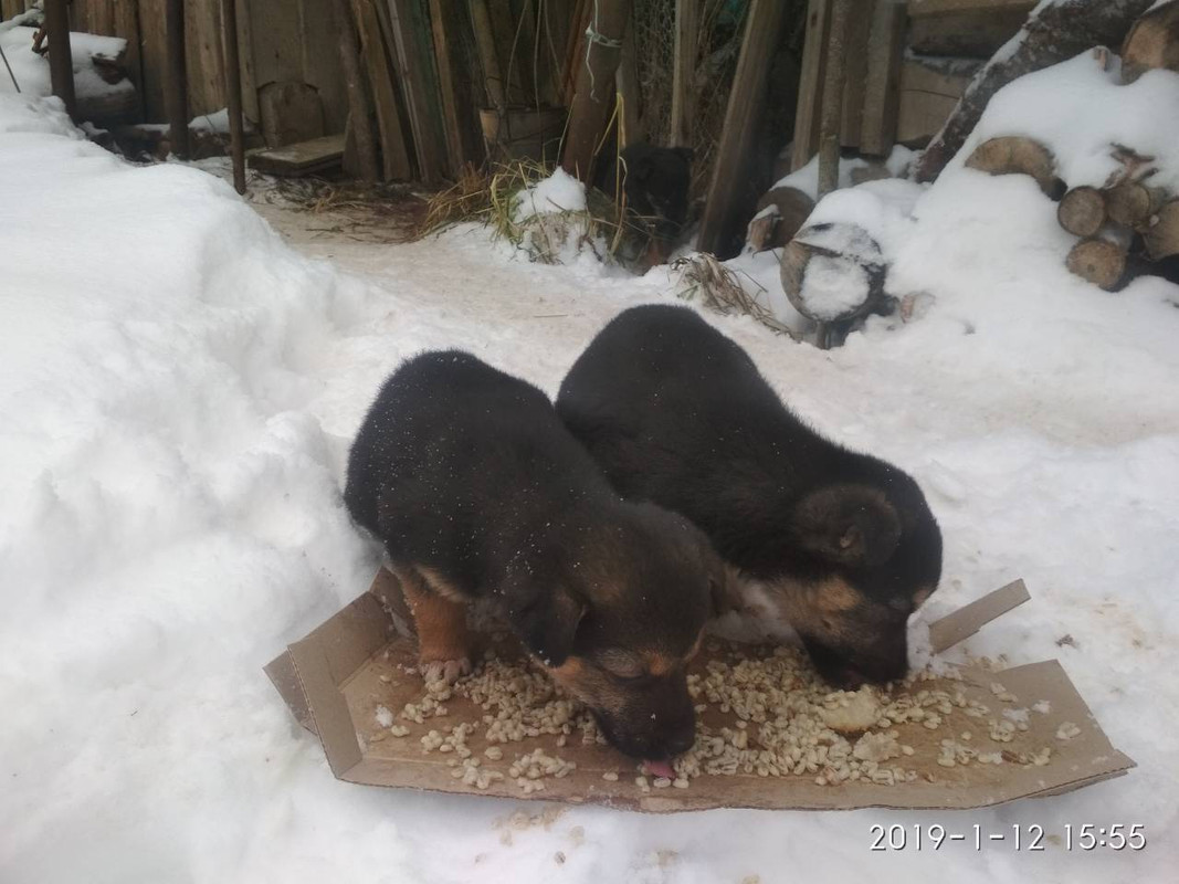 17C1545A-45CD-4A69-AE25-B5437D2BC25F