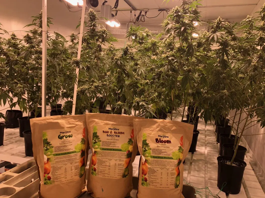 MarijGro Growing Products