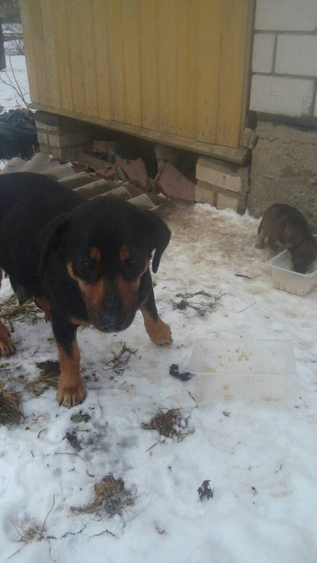 D4CAE102-C2CF-486A-BFE9-30F29E09F35D