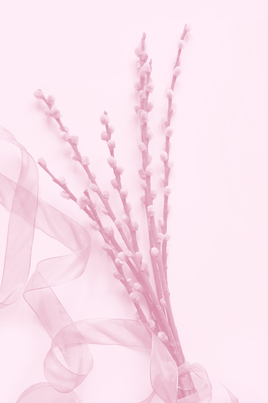 Spring25_5