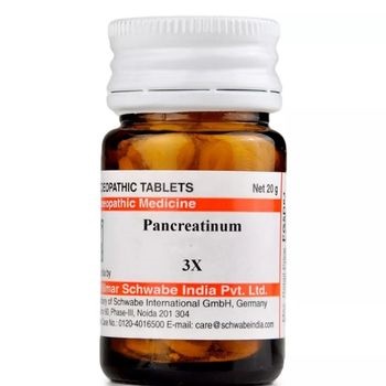 Willmar Schwabe India Pancreatinum 3X (20g)