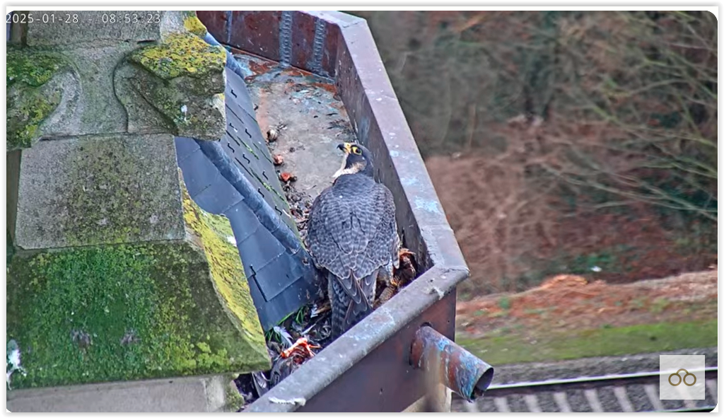 Screen Shot 01-28-25 at 08.58 AM