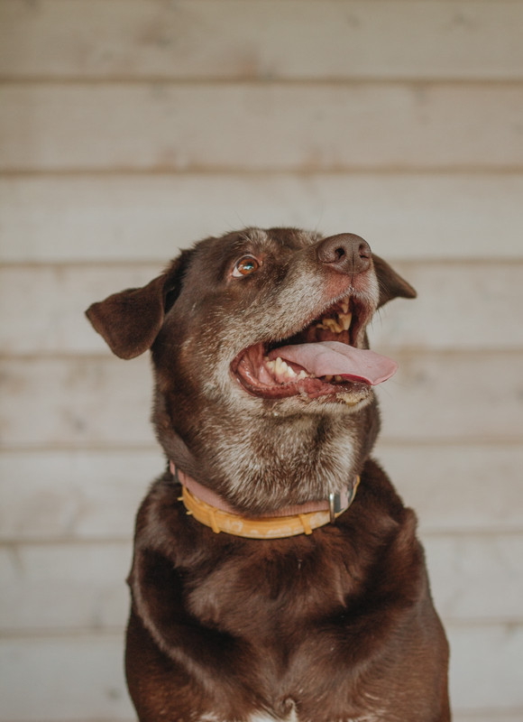 IMG-ec28c89f25677d8f379b598833c1b020-V