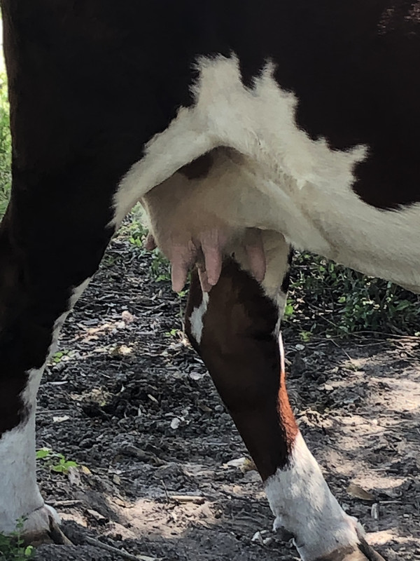 588301A6-4F82-496A-9E13-B8475A4EDC96