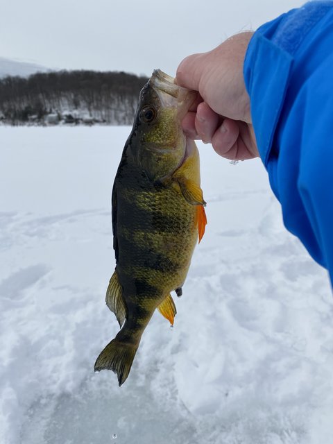 1DC74471-F5D0-4E8C-B94C-B6DDD71311EE