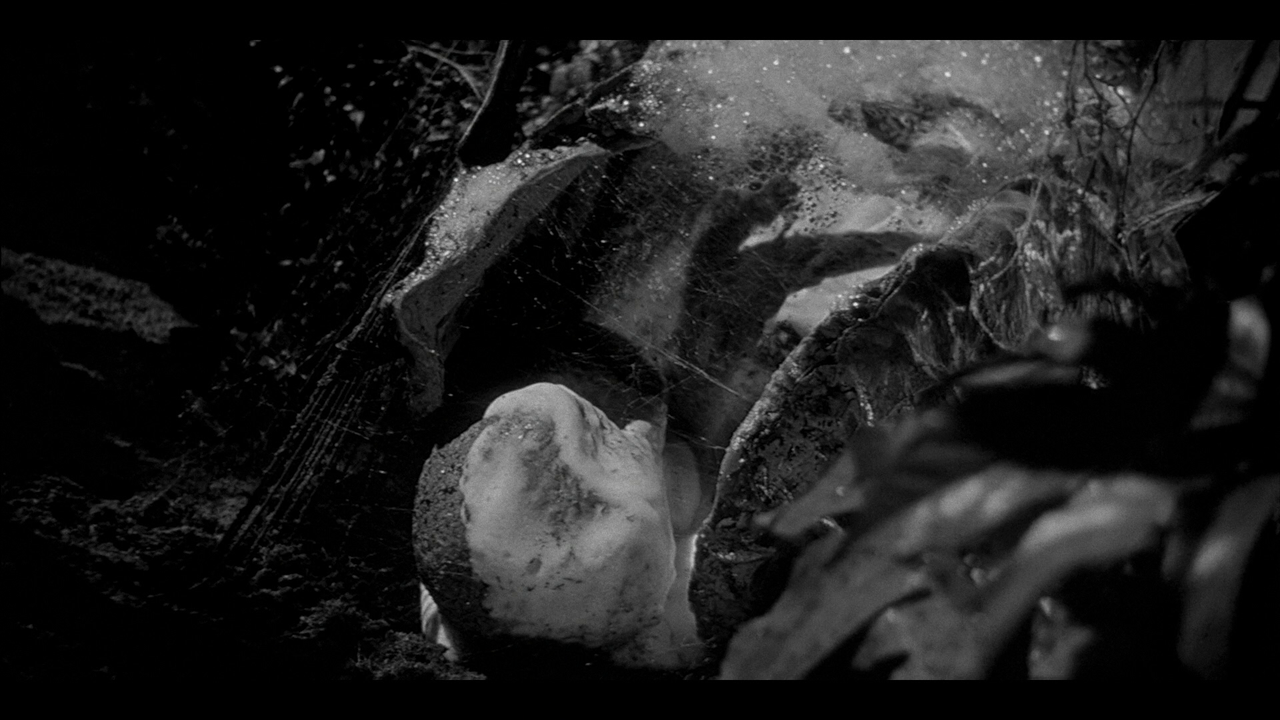 INVASION OF THE BODY SNATCHERS REFERENCE (5)